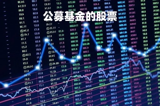 公募基金的股票「公募基金的股票有哪些」