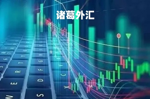 诸葛外汇「诸葛 io」