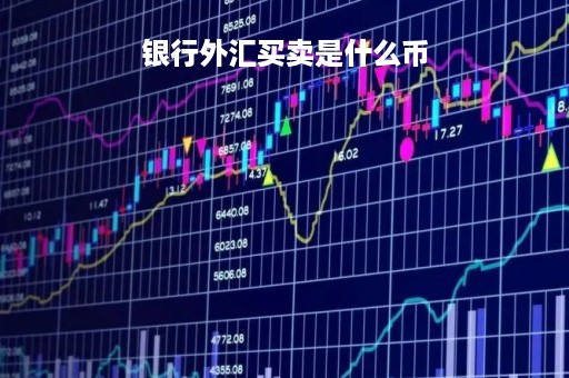 银行外汇买卖是什么币「银行外汇买卖能赚钱吗」