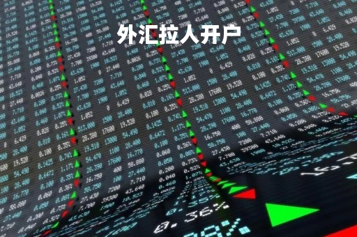 外汇拉人开户「外汇拉人开户怎么操作」