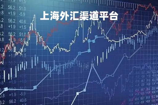 上海外汇渠道平台「上海 外汇」