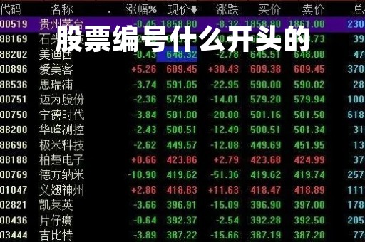 股票编号什么开头的「股票编号是什么」