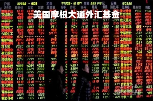 美国摩根大通外汇基金「美国摩根大通外汇基金怎么样」