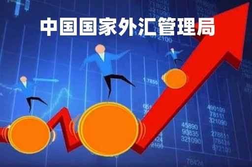中国国家外汇管理局「中国国家外汇管理局官网」