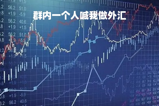 群内一个人喊我做外汇「群内一个人喊我做外汇是真的吗」