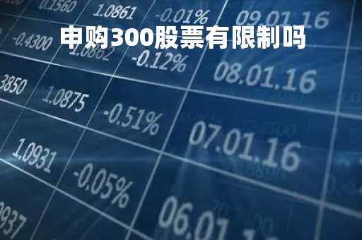 申购300股票有限制吗「买300的股票有新股申购额度吗」