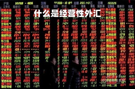 什么是经营性外汇「经常项目下经营性外汇」