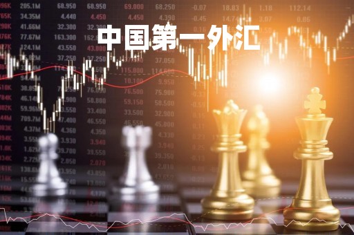 中国第一外汇「中国第一家外汇牌照」