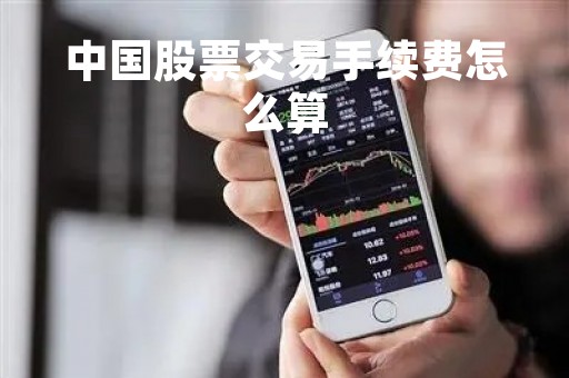 中国股票交易手续费怎么算「中国股票买卖手续费怎么算」