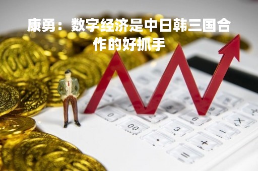康勇：数字经济是中日韩三国合作的好抓手