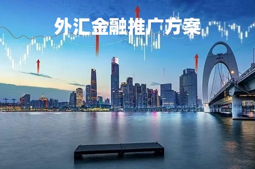 外汇金融推广方案「外汇业务宣传方案」