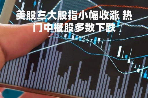 美股三大股指小幅收涨 热门中概股多数下跌