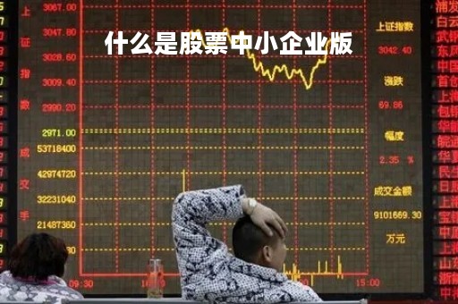 什么是股票中小企业版「中小企业股票指数」