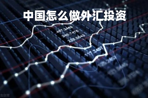 中国怎么做外汇投资「中国投资外汇合法途径」