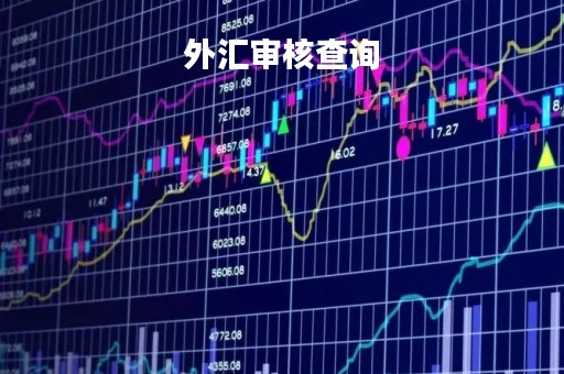 外汇审核查询「银行外汇审核」