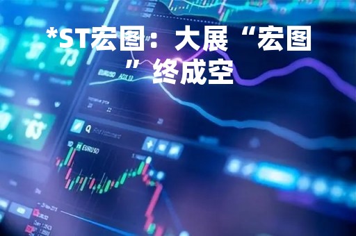*ST宏图：大展“宏图”终成空