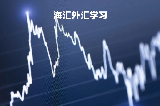 海汇外汇学习「海汇外汇投资」