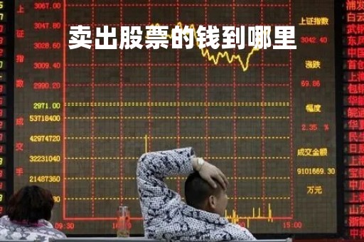 卖出股票的钱到哪里「卖出股票后的钱能转出来吗」