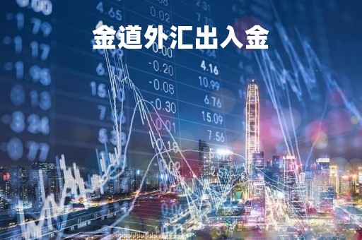 金道外汇出入金「金道外汇投资app下载」