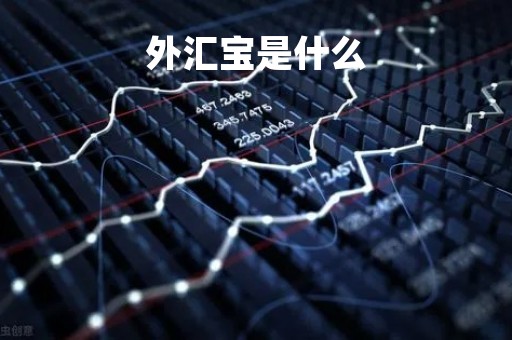 外汇宝是什么「外汇宝交易包括」