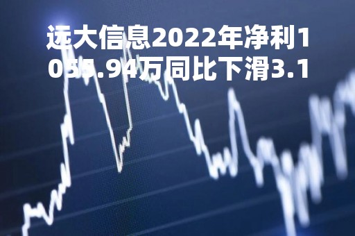 远大信息2022年净利1055.94万同比下滑3.19%受行业竞争毛利下降