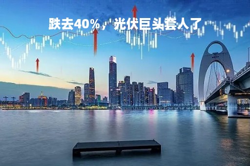 跌去40%，光伏巨头套人了