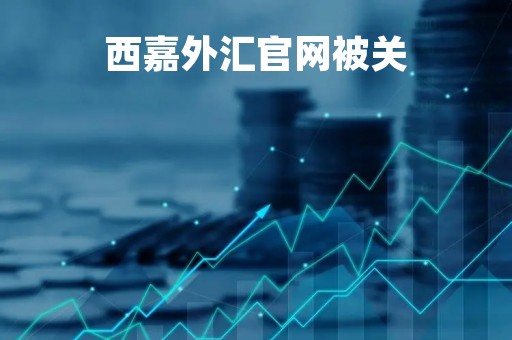 西嘉外汇官网被关