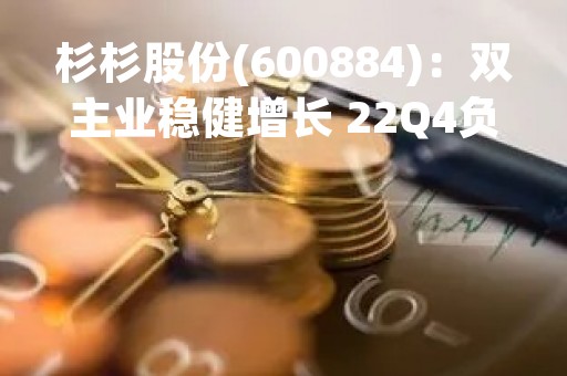杉杉股份(600884)：双主业稳健增长 22Q4负极盈利承压