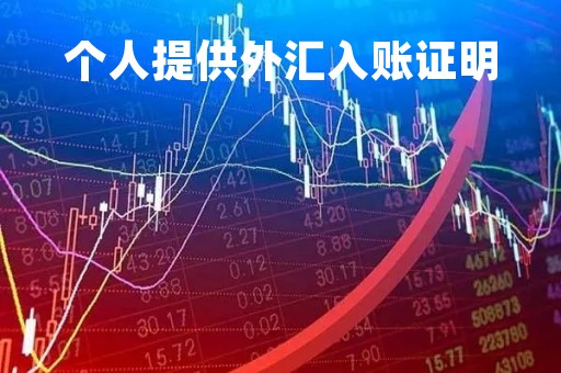 个人提供外汇入账证明「个人外汇收款 银行要证明」