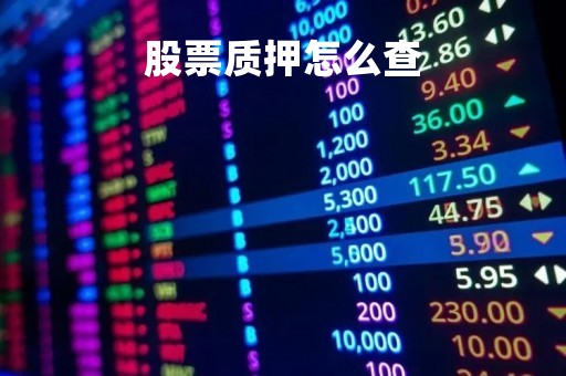 股票质押怎么查「哪里能看到股票的质押信息」