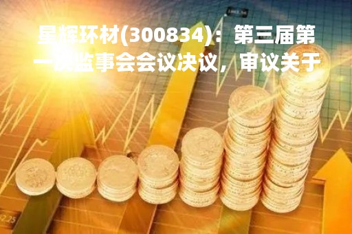 星辉环材(300834)：第三届第一次监事会会议决议，审议关于选举第三届监事会主席的议案