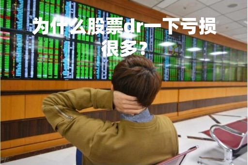 为什么股票dr一下亏损很多？