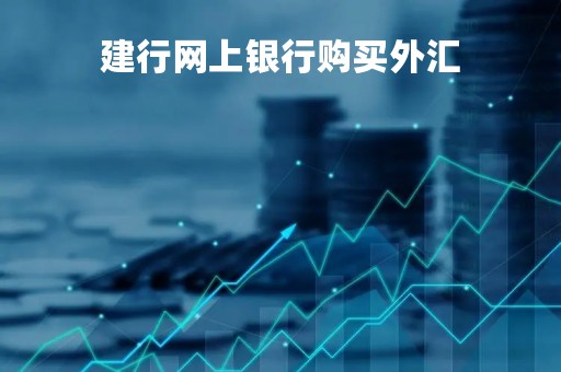 建行网上银行购买外汇「建行购外汇手续费怎么算」