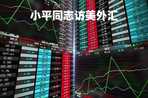 小平同志访美外汇