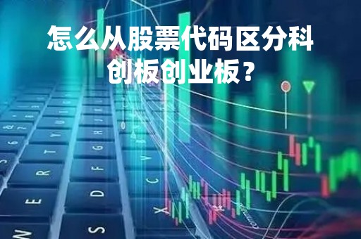 怎么从股票代码区分科创板创业板？