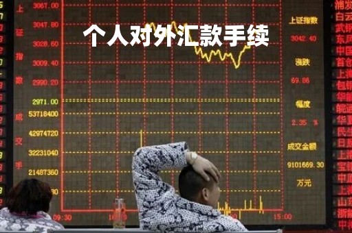 个人对外汇款手续「个人外汇汇款」