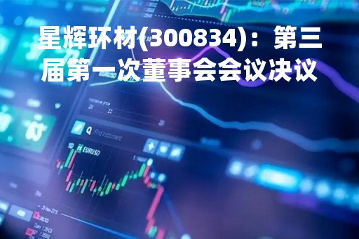 星辉环材(300834)：第三届第一次董事会会议决议，审议7项议案获通过