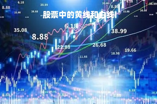 股票中的黄线和白线「股票中的黄线和白线什么意思」