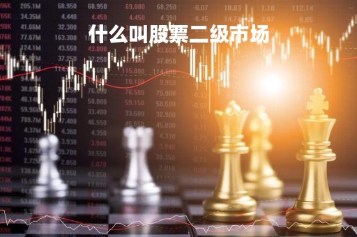 什么叫股票二级市场「什么叫股市二级市场」