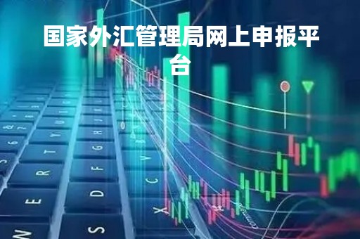 国家外汇管理局网上申报平台「国家外汇管理局信息系统」