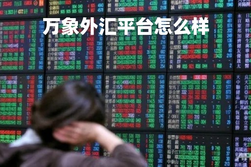 万象外汇平台怎么样「万象外汇平台怎么样知乎」