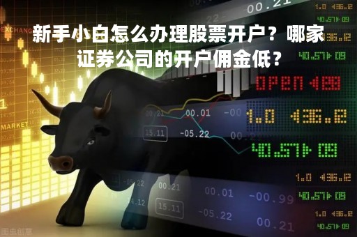 新手小白怎么办理股票开户？哪家证券公司的开户佣金低？