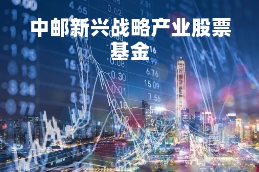 中邮新兴战略产业股票基金「中邮战略新兴590008这只基金怎么样」