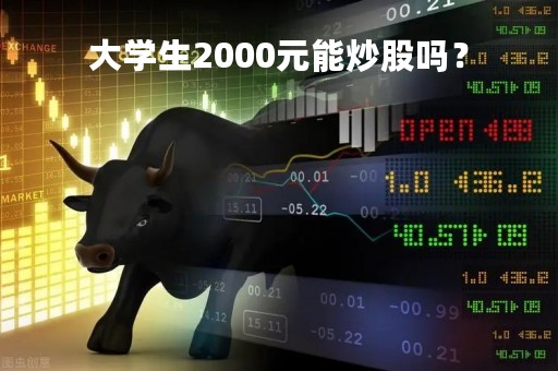 大学生2000元能炒股吗？