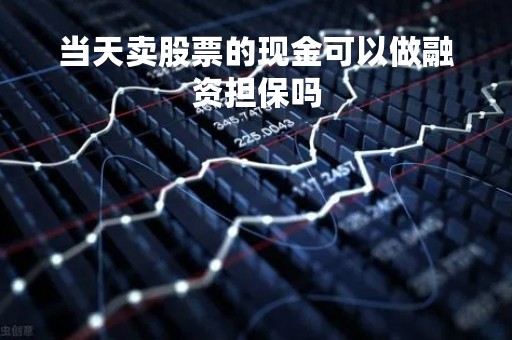 当天卖股票的现金可以做融资担保吗「当天买入股票是否可以做融资」