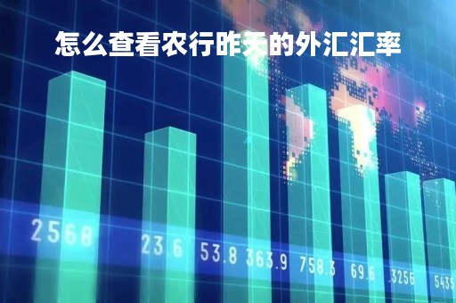 怎么查看农行昨天的外汇汇率「农业银行外币余额查询」