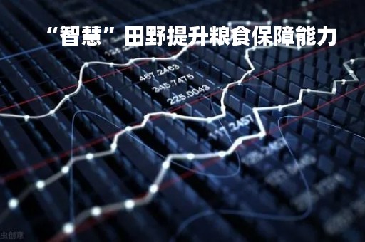 “智慧”田野提升粮食保障能力