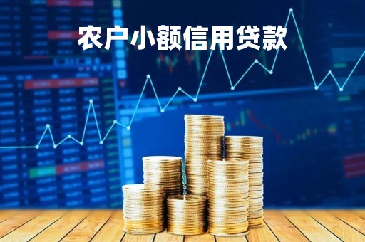 农户小额信用贷款