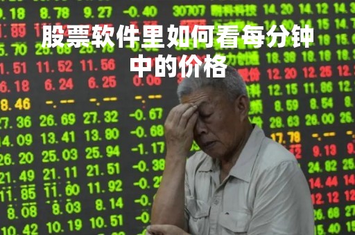 股票软件里如何看每分钟中的价格「股票分钟级别怎么看」