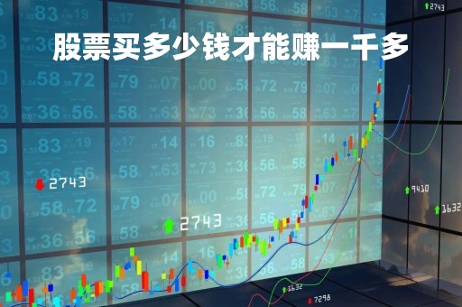 股票买多少钱才能赚一千多「股票买多少钱才不亏手续费」